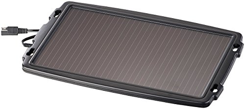 REVOLT Solarbatterieladegerät: Solar-Ladegerät für Auto-Batterien, Pkw, 12 Volt, 2,4 Watt (Solar Kfz)